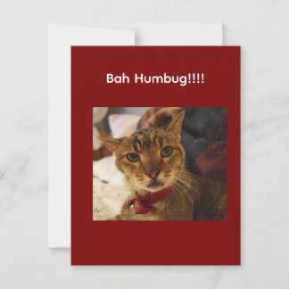 Tarjeta Festiva Gato Bah Humbug con ceño fruncido
