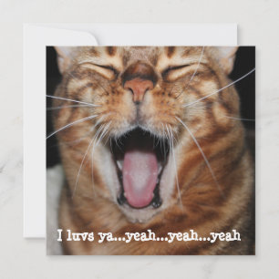 Tarjeta Festiva Gato Bengal Cantando Cumpleaños Día de San Valentí