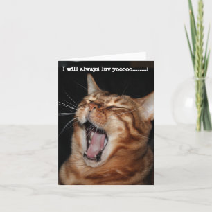 Tarjeta Festiva Gato Bengal cantando "Te amaré siempreeeee"