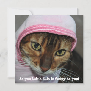 Tarjeta Festiva Gato Bengal divertido, "Así que crees que esto es 