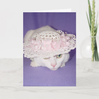 Tarjeta Festiva Gato blanco en capo