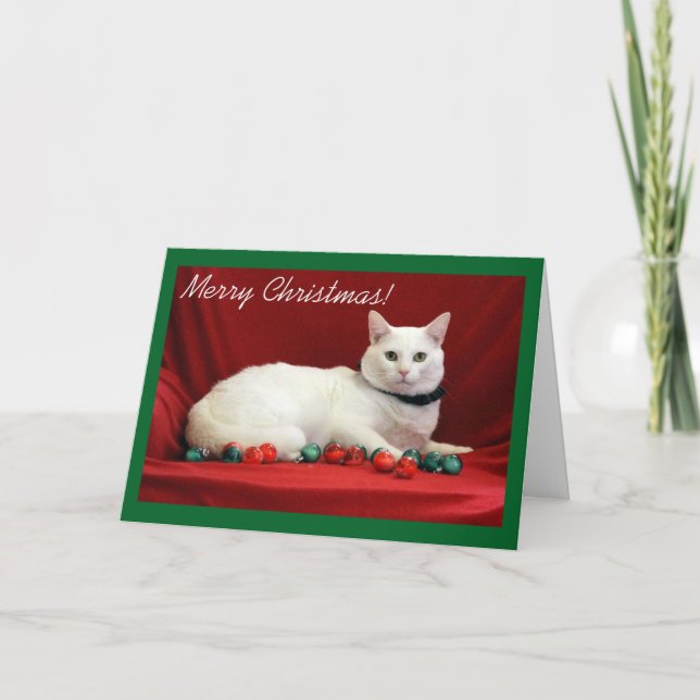 Tarjeta Festiva Gato blanco en fondo rojo (Anverso)
