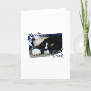Tarjeta Festiva Gato blanco y negro, sombrero de santa, oropel y u