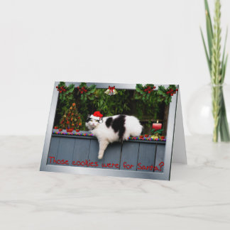 Tarjeta Festiva Gato cariñoso de la galleta