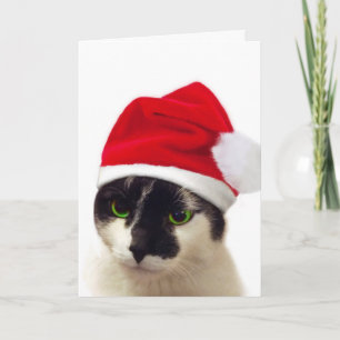 Tarjeta Festiva Gato con el Gorra de Santa