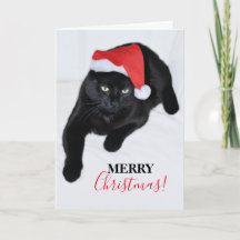 Gato con el sombrero rojo de Santa