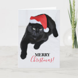 Tarjeta Festiva Gato con el sombrero rojo de Santa Claus