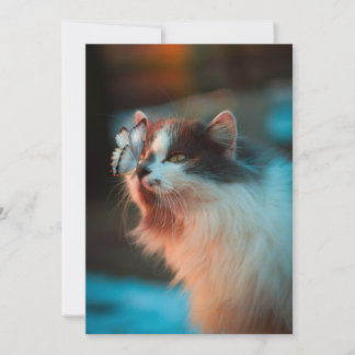 Tarjeta Festiva Gato con mariposa en la nariz