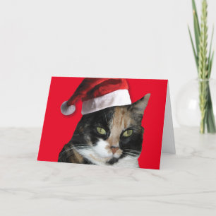 Tarjeta Festiva Gato de Calico con un Gorra de Santa Claus