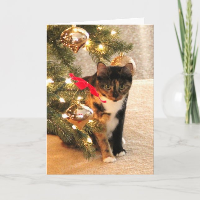 Tarjeta Festiva Gato de calicó debajo del árbol de navidad, (Anverso)