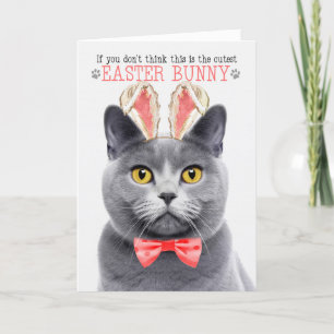 Tarjeta Festiva Gato de Chartreux en orejas de conejito por Pascua