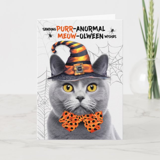 Tarjeta Festiva Gato de Chartreux Halloween PURRparo anormal (Anverso)