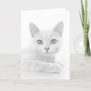 Tarjeta Festiva Gato de gatito de gatito de peluche