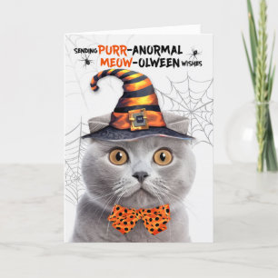Tarjeta Festiva Gato de Gato Gris Frío escocés PURRolintero anorma