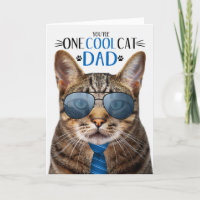 Gato de Guay del Día de un gato de Tabby marrón