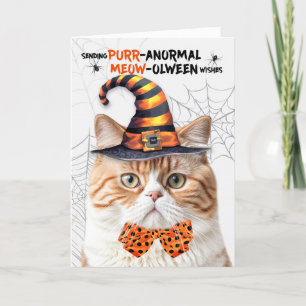 Tarjeta Festiva Gato de Halloween Británico Tabby PURRanormal MEOW