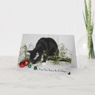 Tarjeta Festiva Gato de la malla