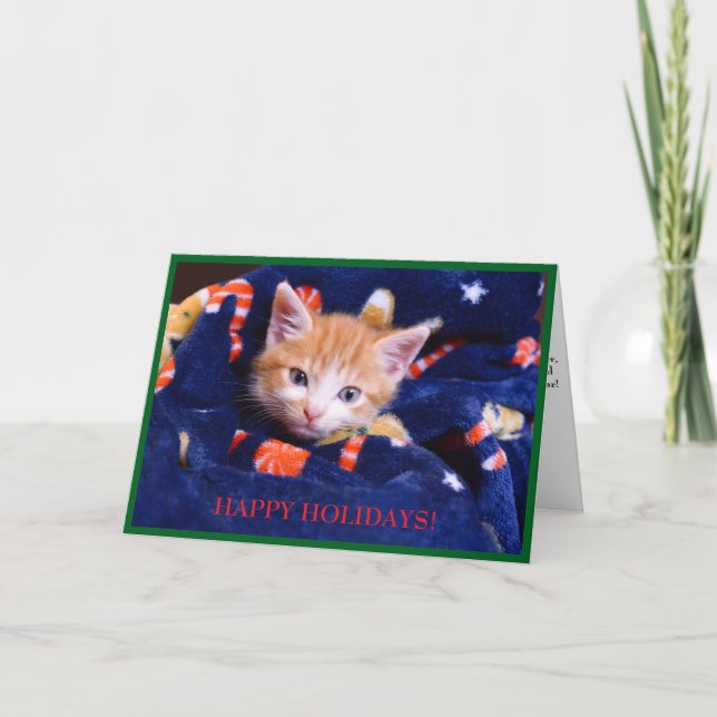 Tarjeta Festiva Gato de Manta Azul Gatito Naranja (Anverso)