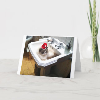 Tarjeta Festiva Gato de navidades