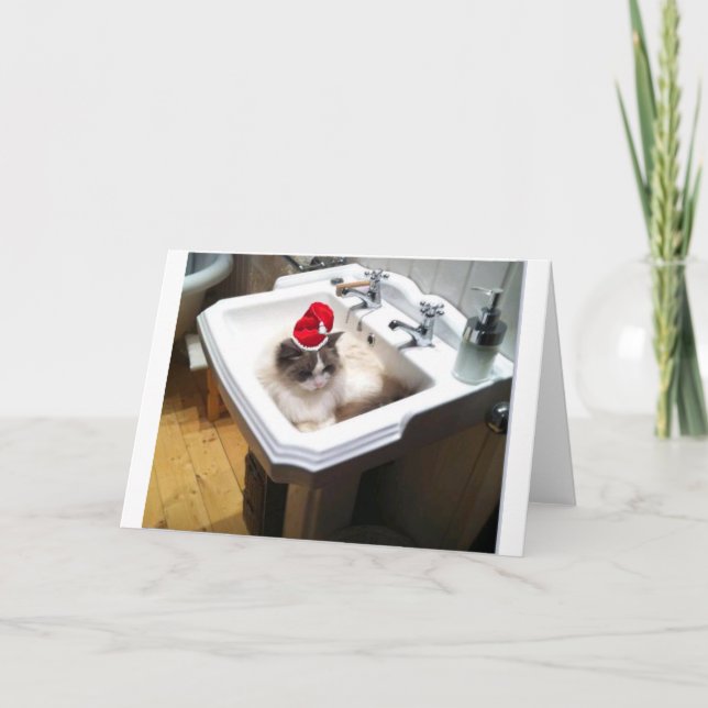 Tarjeta Festiva Gato de navidades (Anverso)