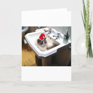 Tarjeta Festiva Gato de navidades