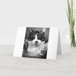 Tarjeta Festiva Gato de navidades