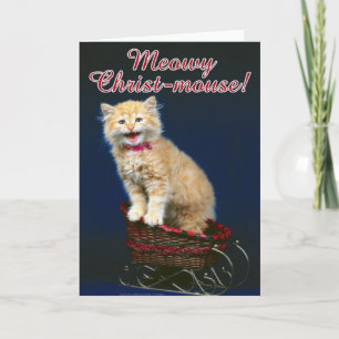 Tarjeta Festiva Gato de navidades