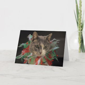 Tarjeta Festiva Gato de navidades