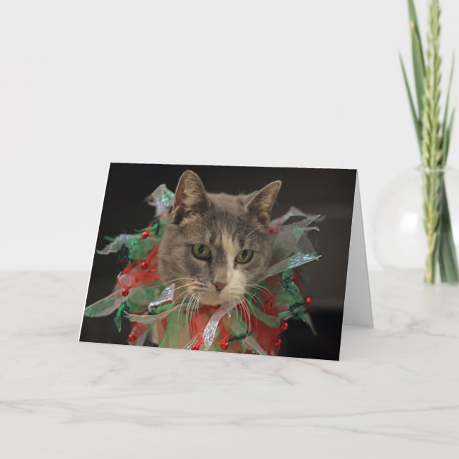Tarjeta Festiva Gato de navidades (Anverso)