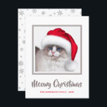 Tarjeta Festiva Gato de Navidades Cute Meowy y Santa Hat<br><div class="desc">Navidades de Cute Meowy El gato Fluffy usa una tarjeta de vacaciones personalizada de Santa hat. Personalice esto fácilmente agregando su nombre y detalles. Perfecto para enviar a cualquier amante del gato o a la familia y amigos para las vacaciones.</div>