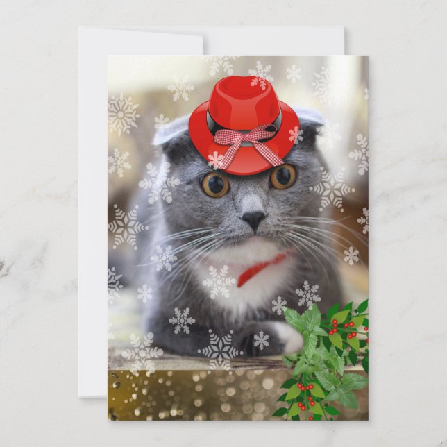 Tarjeta Festiva Gato de Navidades de pelo largo de Escocia (Anverso)