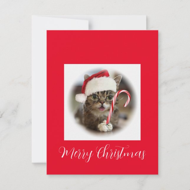 Tarjeta Festiva Gato de Navidades divertidos sosteniendo cane de g (Anverso)