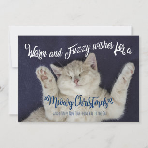 Tarjeta Festiva Gato de Navidades miedosos cálidos y borrosos
