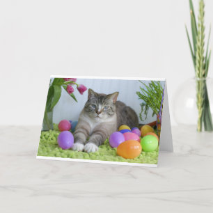 Tarjeta Festiva Gato de Pascua