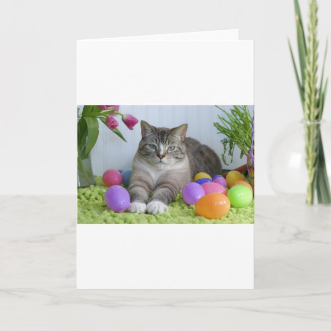 Tarjeta Festiva Gato de Pascua (Anverso)