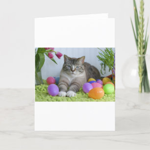 Tarjeta Festiva Gato de Pascua