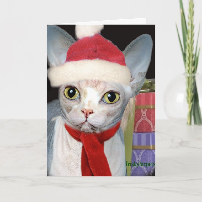 Tarjeta Festiva Gato de Sphynx Santa (Anverso)