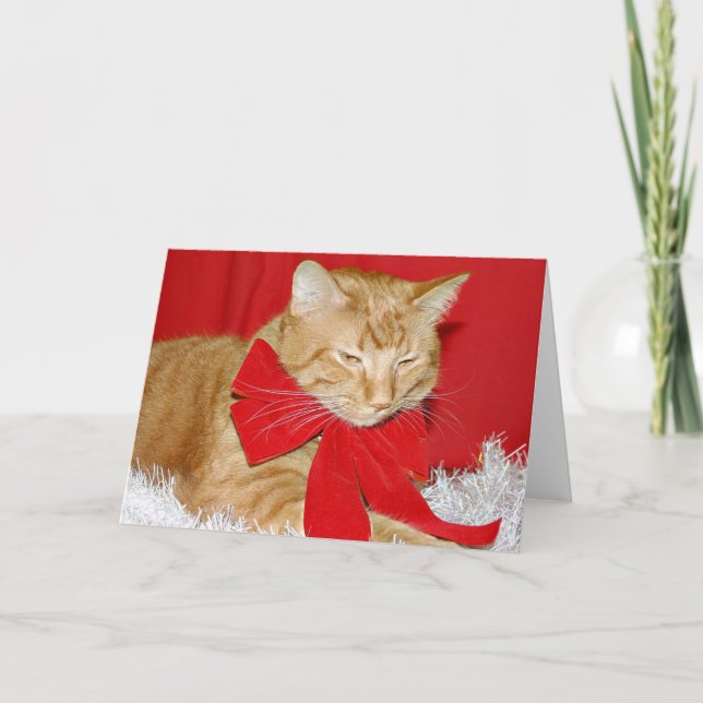Tarjeta Festiva Gato de tabby anaranjado en arco (Anverso)
