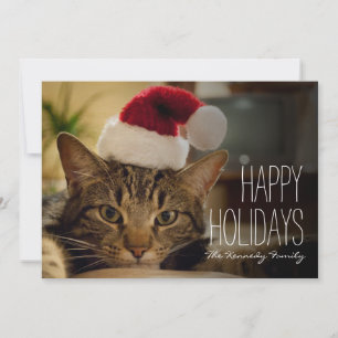 Tarjeta Festiva Gato de tabby de pelo corto de Brown