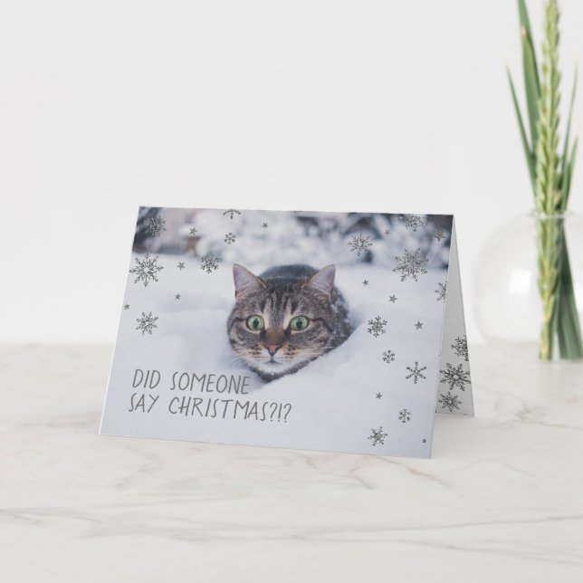 Tarjeta Festiva Gato de Tabby en copos de nieve blancos (Anverso)