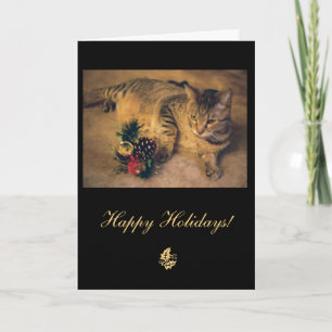 Tarjeta Festiva Gato de Tabby: ¡Feliz Navidad!