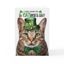 Gato de Tabby marrón St CATrick's Day Lucky Charm