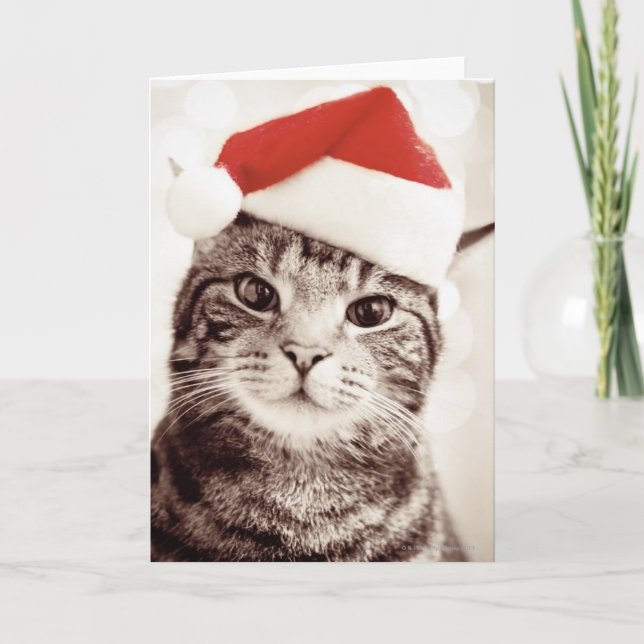 Tarjeta Festiva Gato de tabby nacional que lleva el gorra rojo del (Anverso)