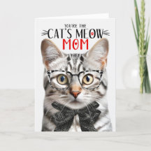 Gato de Tabby plateado para mamá en el día de la m