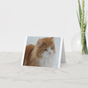 Tarjeta Festiva Gato_del_bosque_noruego