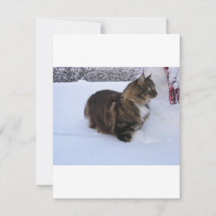 Tarjeta Festiva gato del bosque noruego en la nieve