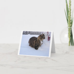Tarjeta Festiva gato del bosque noruego en la nieve