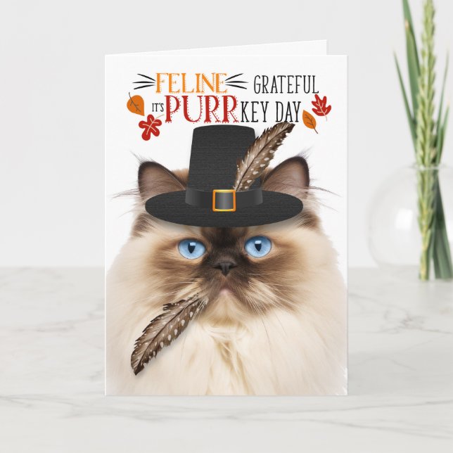Tarjeta Festiva Gato del Himalaya agradecido por el Día del PURR (Anverso)