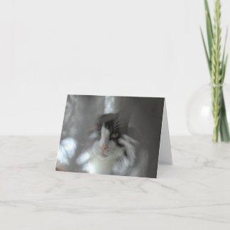 Tarjeta Festiva Gato del smoking a través de ramas