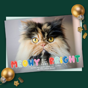 Tarjeta Festiva Gato divertido maullón pero no muy brillante foto 